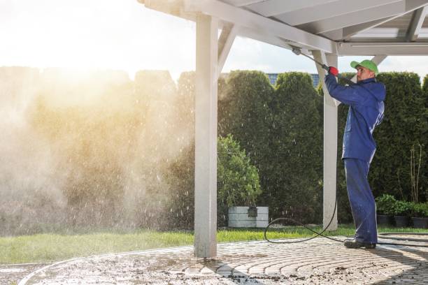 Best Rust Removal  in Camden, AL