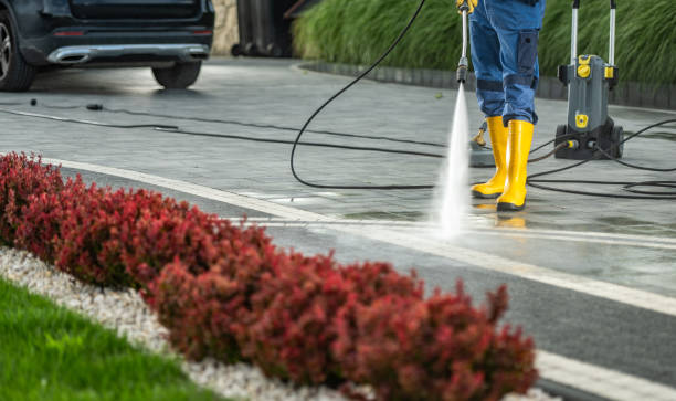 Best Building Exterior Washing  in Camden, AL